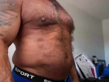 donk566 live cam