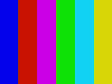 vivid_girls live cam