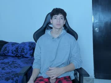 foniland_ live cam