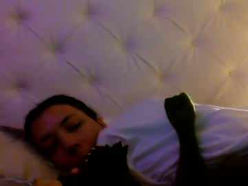 sexyfrancesxobabe live cam