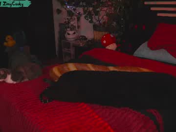 ziny_cosky live cam